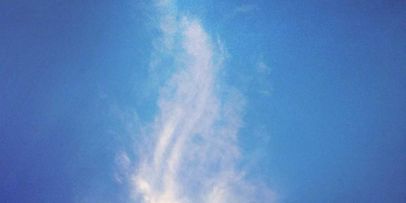 中国奇迹背后的科技密码：创业项目与加盟模式如何驱动经济高速增长