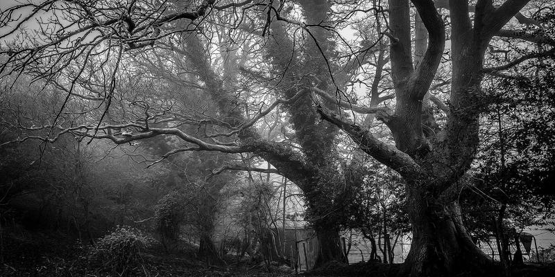 中国数字支付奇迹：一部手机如何撬动万亿级创业市场与加盟新生态