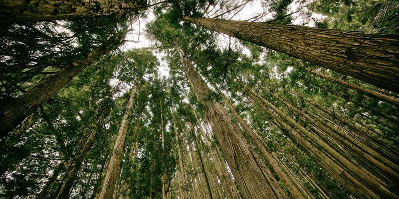 从土地政策到财富密码:解码中国城市化进程中的投资与创业机遇