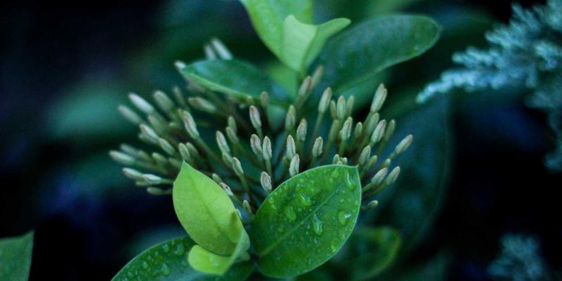 从“工业维生素”到“技术王牌”:中国稀土战略下的新材料创业奇迹与投资蓝海