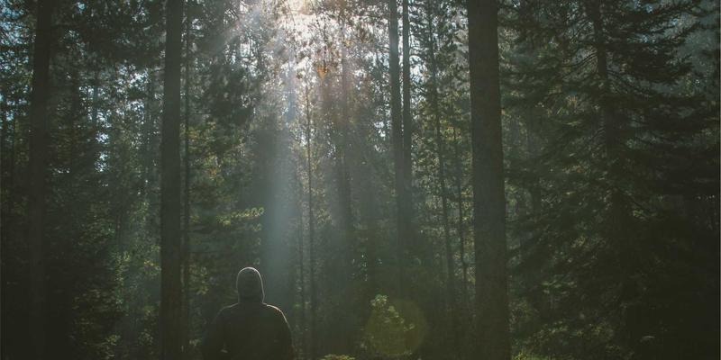 掘金14亿人消费升级：2024年不容错过的创业与加盟机遇