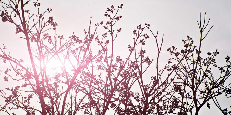 掘金万亿蓝海：中国生物医药创新崛起，揭秘CXO产业链中的创业、加盟与投资新机遇