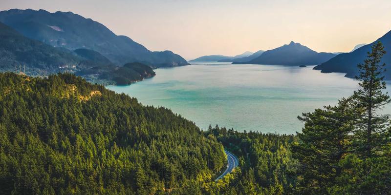 掘金“专精特新”:解码隐形冠军产业链的投资蓝海与品牌加盟新机遇