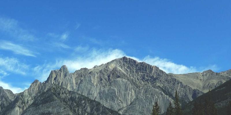 解码中国奇迹：社会主义市场经济如何成为财富增长与投资机遇的超级引擎