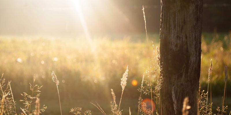 解码中国跨境电商奇迹:如何借力全球最大电商生态,掘金DTC品牌与加盟服务新蓝海