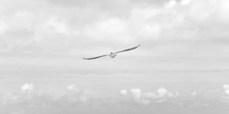 高铁经济带崛起:揭秘中国基建奇迹背后的创业蓝海与投资新赛道